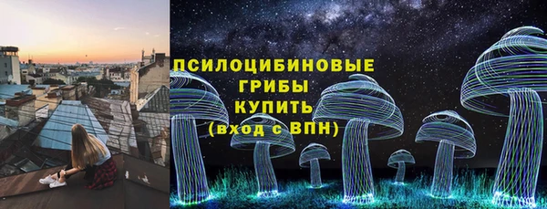 гидропоника Карпинск